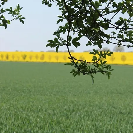 アパート Modern In Near Sea