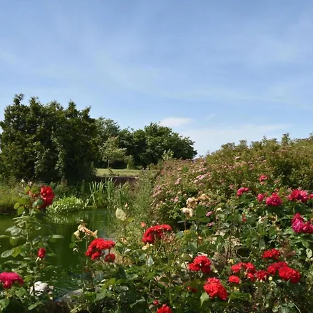 Modern In Near Sea アパート *