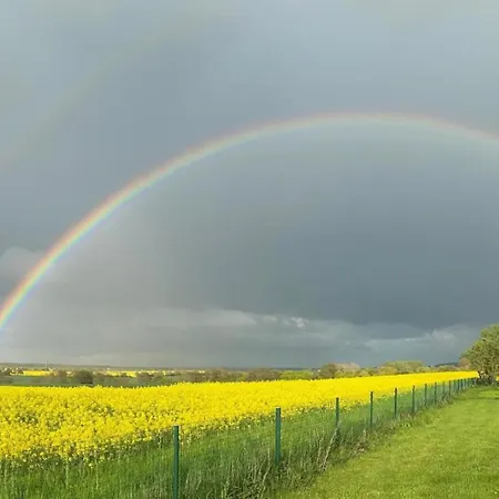 Modern In Near Sea *