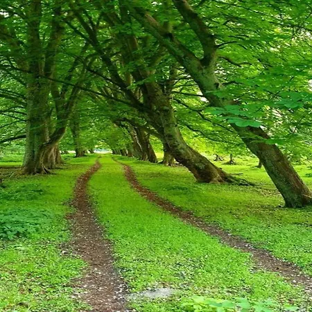 Modern In Near Sea * Bastorf